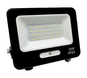 Foco LED 30W Negro - Iluminación Potente